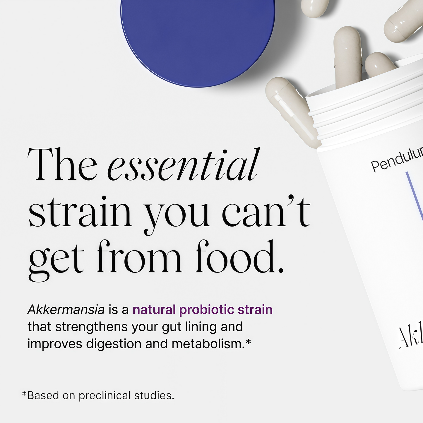 Pendulum Akkermansia Probiotic with Prebiotic Fiber - Increases GLP-1 Production, Delayed Release, Third-Party Tested, 100M AFU Live Strain for Gut Health for Men & Women (90 Capsules, 1-Pack)
